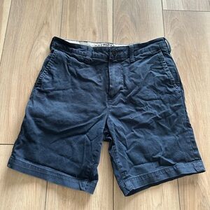 American Eagle Outfitters Men's Dark Blue Flat Front Shorts